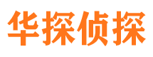 新龙侦探公司